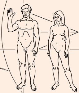 1024px-Pioneer_plaque.svg